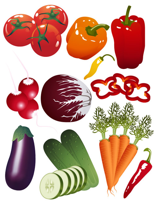 free vector Fruit and vegetable theme vector